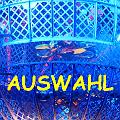 30 AUSWAHL